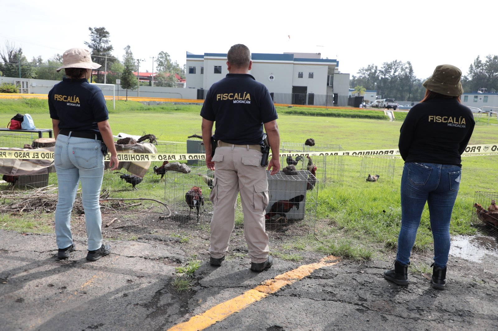 Operativo de la FGE en Huatzangio, Lagunillas: rescatistas con aves y perros, vehículos asegurados y personal de la Guardia Nacional en el lugar