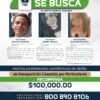 Ilustración simbólica de tres siluetas humanas junto a un mapa de Michoacán y un teléfono con ícono de llamada, representando la participación ciudadana en la búsqueda de desaparecidos.