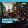 Ilustración simbólica de una perrita y un gato junto a un árbol nativo michoacano, con el logo del Congreso del Estado de