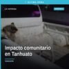 Fiscalía Michoacán crueldad animal: perro blanco resguardado tras agresión en Tanhuato, Michoacán