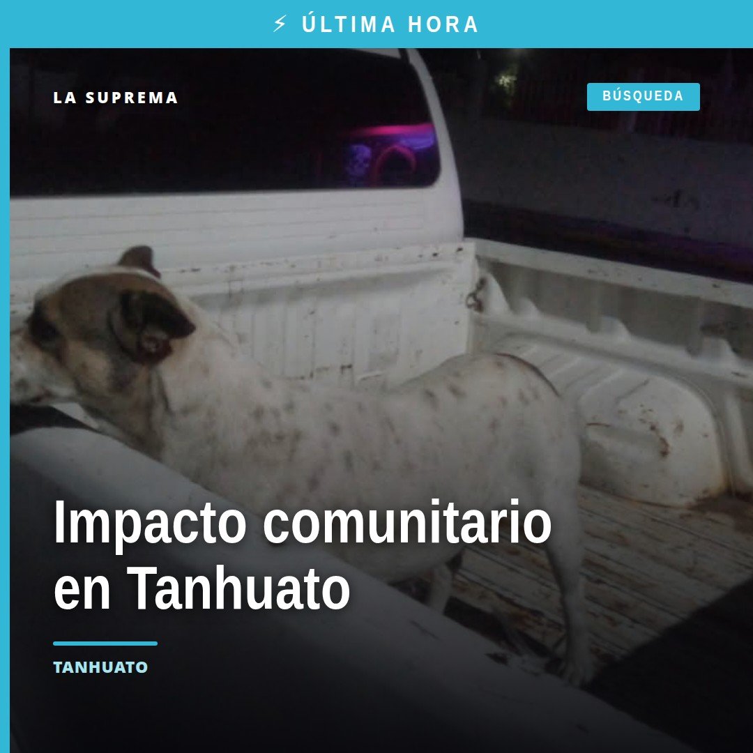 Fiscalía Michoacán crueldad animal: perro blanco resguardado tras agresión en Tanhuato, Michoacán