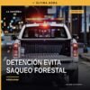 Fiscalía Michoacán detención en Pátzcuaro: camión tipo torton asegurado con vigas de madera aserrada en carretera