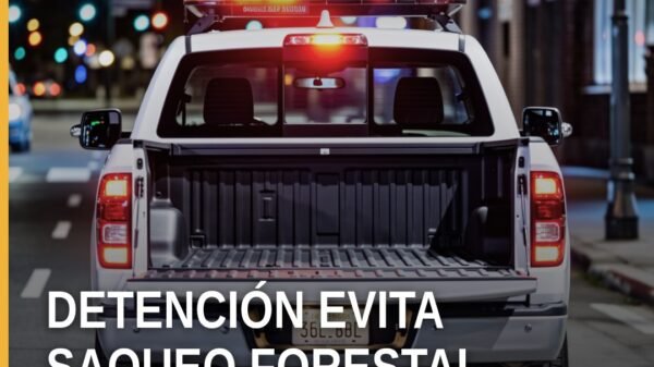 Fiscalía Michoacán detención en Pátzcuaro: camión tipo torton asegurado con vigas de madera aserrada en carretera