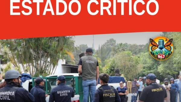 Rescate de fauna silvestre: tigre de Bengala, mono araña y dos loros nuca amarilla asegurados en inmuebles de Peribán y Los