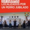 Cinco perros policía junto a sus manejadores en ceremonia de jubilación en Morelia, con bandera de la FGE y reconocimientos