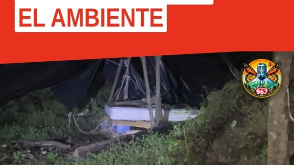 Peritos especializados trabajando en el predio Paraje Agua Zarca, Caltzontzin, durante cateo ambiental