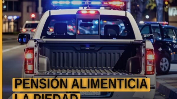 Ilustración simbólica de una balanza y un documento con sello judicial, con texto 'pensión alimenticia la piedad'