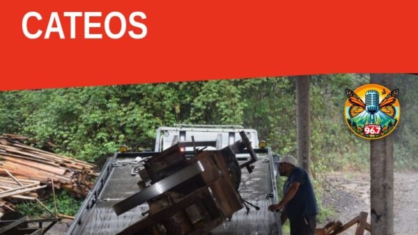 Maquinaria incautada en El Capulín, Madero, relacionada con procesamiento de madera