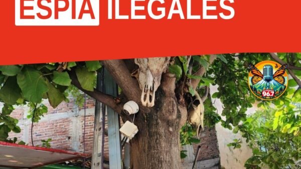 Fiscalía General del Estado de Michoacán retirando cámaras parásitas apatzingán de un poste de energía eléctrica en