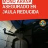Mono araña en jaula pequeña dentro de inmueble de la colonia Moctezuma, Uruapan — mono araña Uruapan