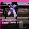 Ilustración simbólica de justicia con bandera de Michoacán y silueta de Charo, representando el feminicidio en charo