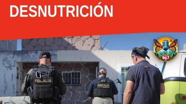 Husky rescatada morelia: canina de raza husky, talla mediana, en estado de desnutrición, durante intervención de la FGE en