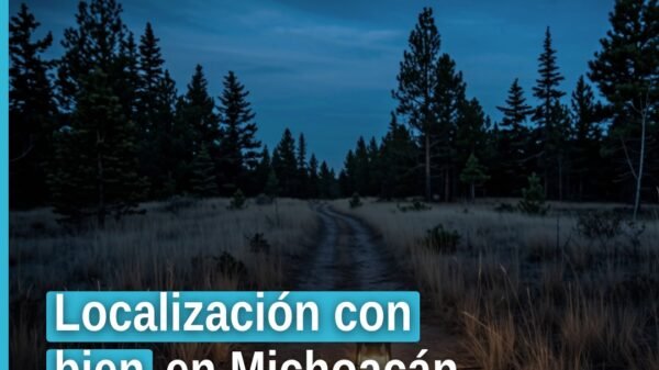 Ilustración simbólica de cuatro personas reunidas con autoridades en Michoacán, representando la localización con bien