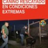 Canino rescatado tras operativo en colonia Reforma, Morelia — rescate de canino morelia