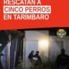 Equipo de la Fiscalía Michoacán asegurando cinco perros mestizos durante el rescate de perros tarímbaro en el