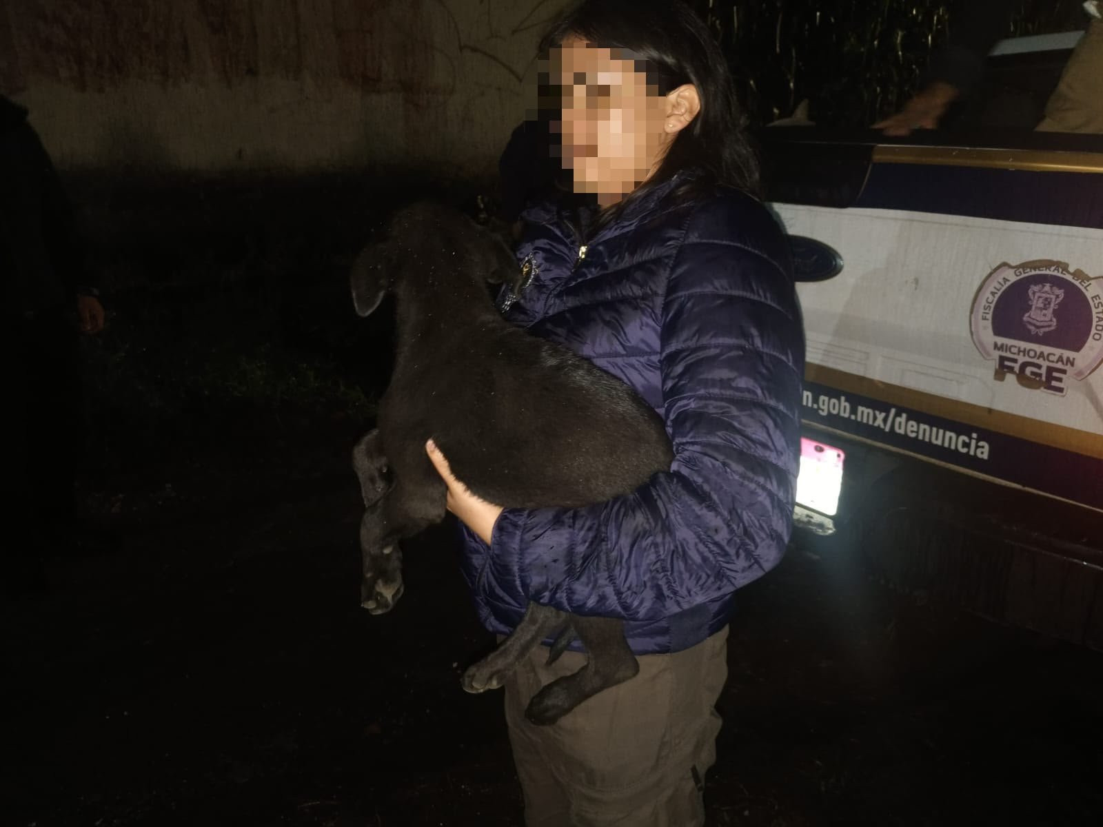 Dos perros rescatados en Uruapan: un macho blanco atado en cochera y una hembra negra dentro del domicilio, durante cateo de